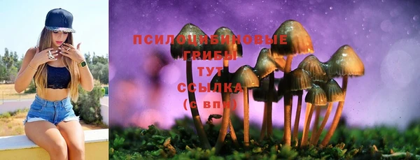 дурь Арсеньев