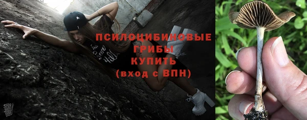 apvp Аркадак